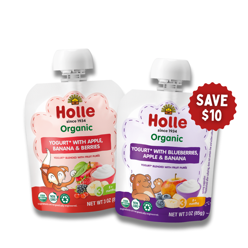 Holle Berry Yogurt Pouches Bundle