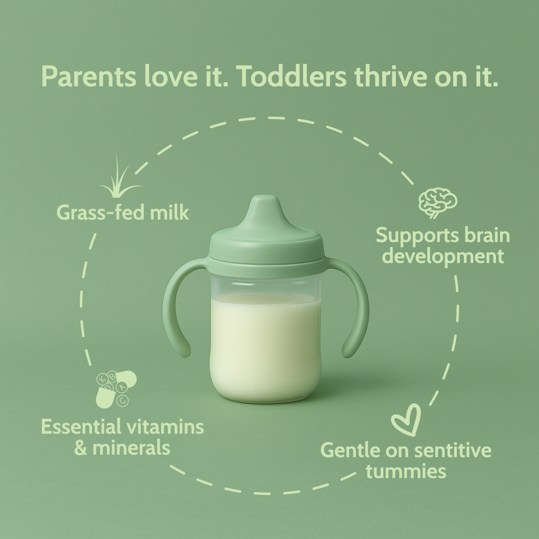 Holle Goat Milk Toddler Drink 6-Tin Bundle