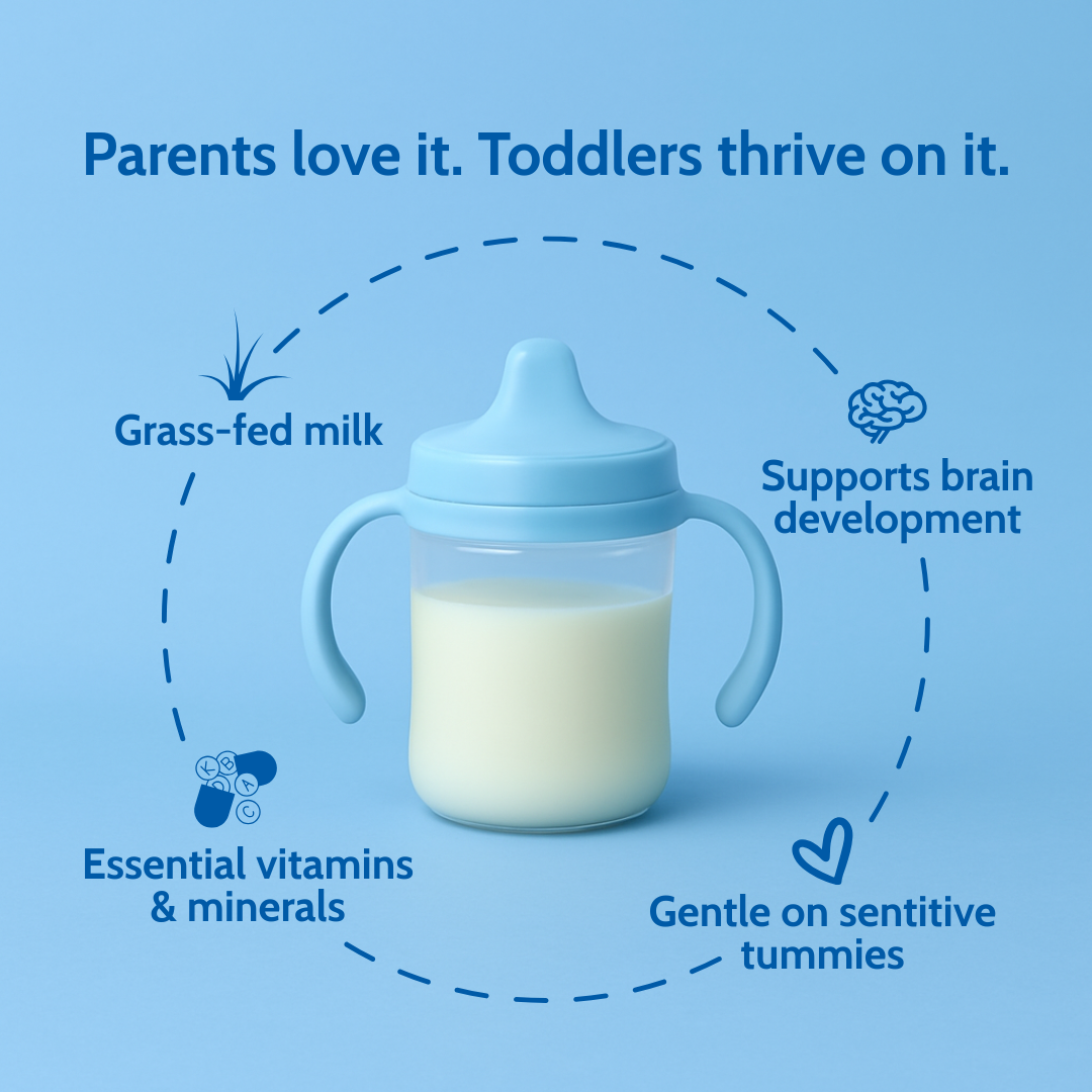 Holle Cow Milk Toddler Drink 6-Tin Bundle